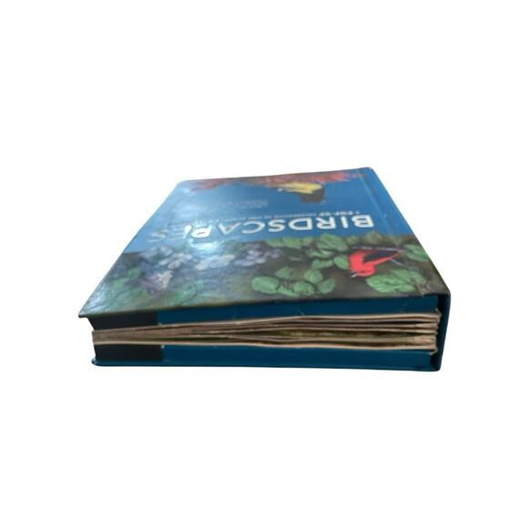 Birdscapes Pop Up Book Celebration of Bird Songs in Stereo M. Chu & Cornell Labs - Picture 6 of 14